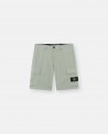 V0055 SAGE GREE
