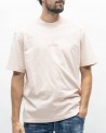 V0082 ANT ROSE