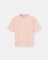 V0082 ANT ROSE