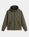 614 DARK GREEN