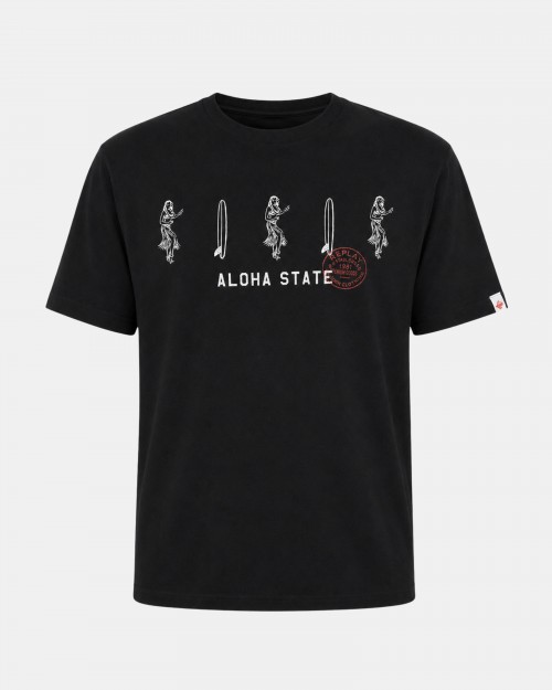 T-Shirt REPLAY AMB ESTAMPAT...
