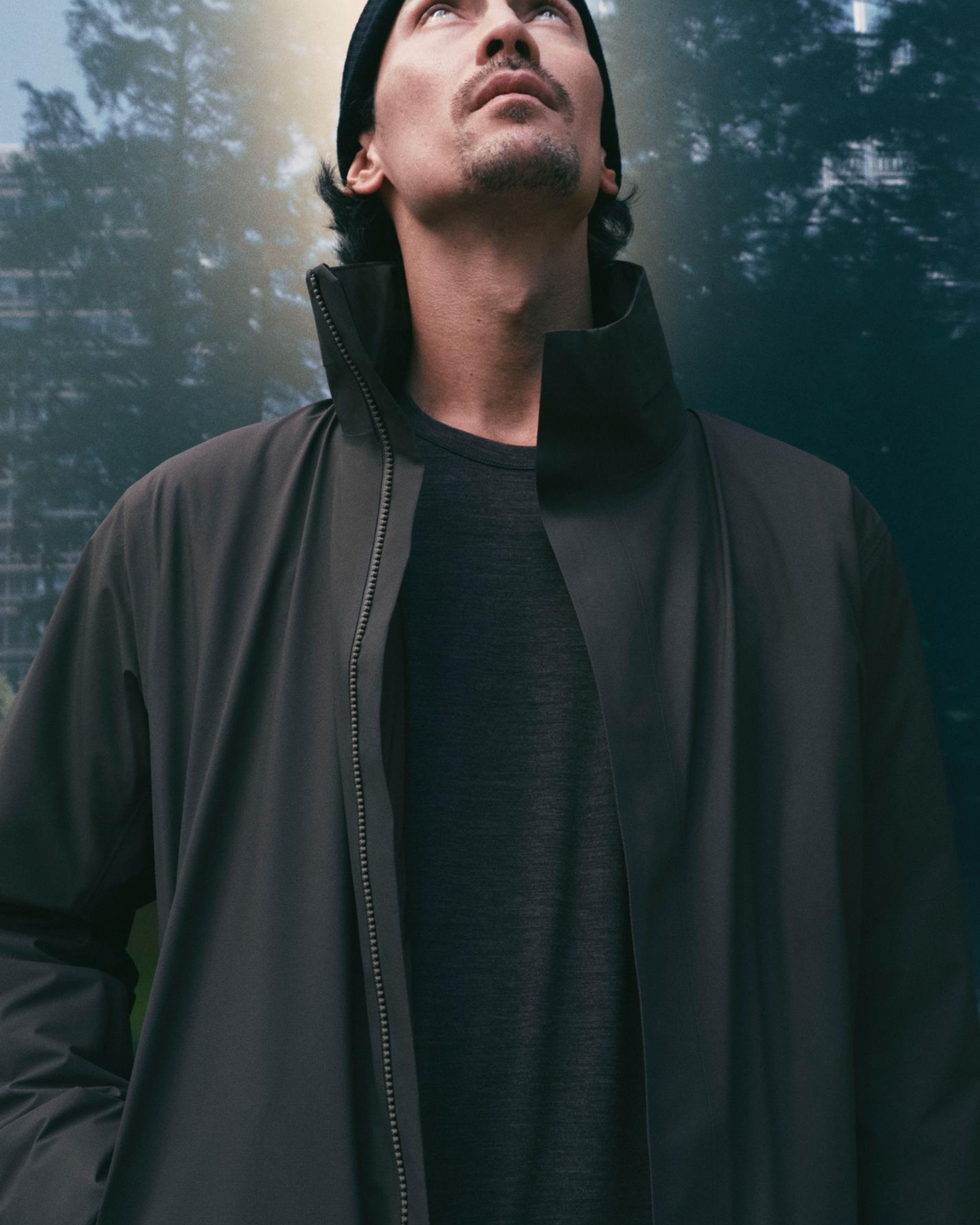 ARCTERIX VEILANCE
